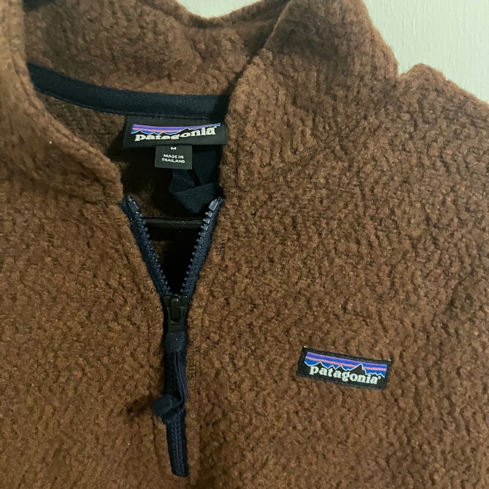 Patagonia Woolyester Fleece Pullover